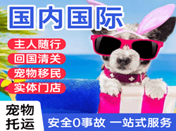 大连航空托运国际宠物托运 【国
